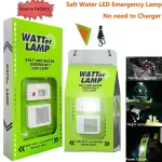 Factory Outlet Portable Outdoor Camping Lamp Salt Water LED Emergency Lamp for Camping Night Fishing Lamps Energy Saving Lamp 1